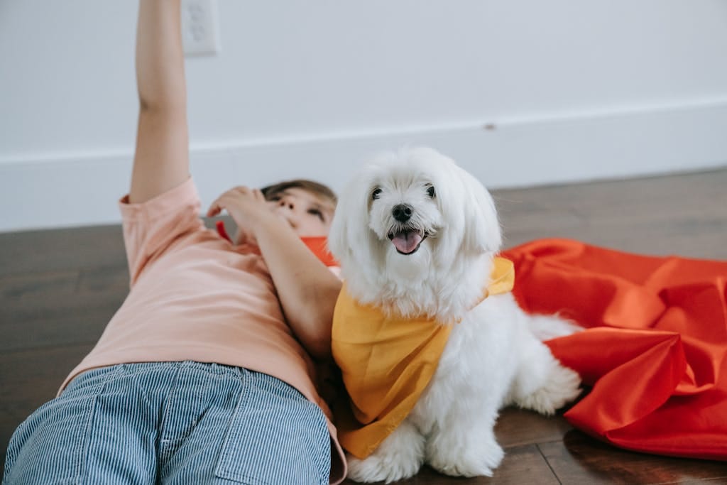 A child and a Maltese dog in colorful capes sitting indoors on wooden floor.